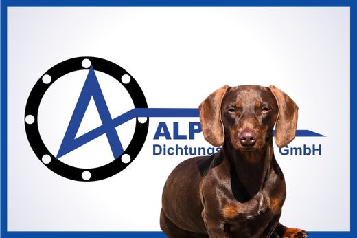 Bürohund brauner Dackel Frieda im Sitz